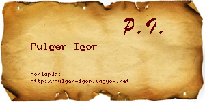Pulger Igor névjegykártya